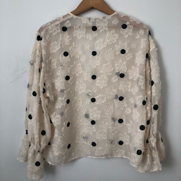 Zara Sheer Polka Dot Blouse - Picture 5 of 5
